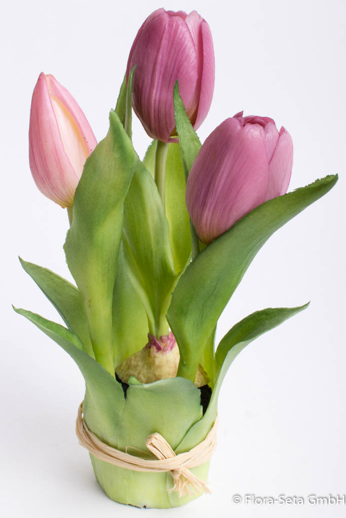 Steh-Tulpe Sally mit 2 Tulpen und 1 Tulpenknospe Farbe: mauve "real Touch"