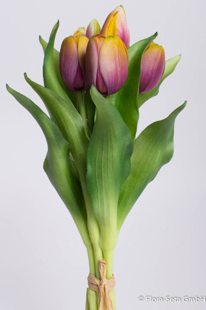 Tulpenbündel Sally mit 4 Tulpen und 3 Tulpenknospen Farbe: mauve-gelb "real Touch" 