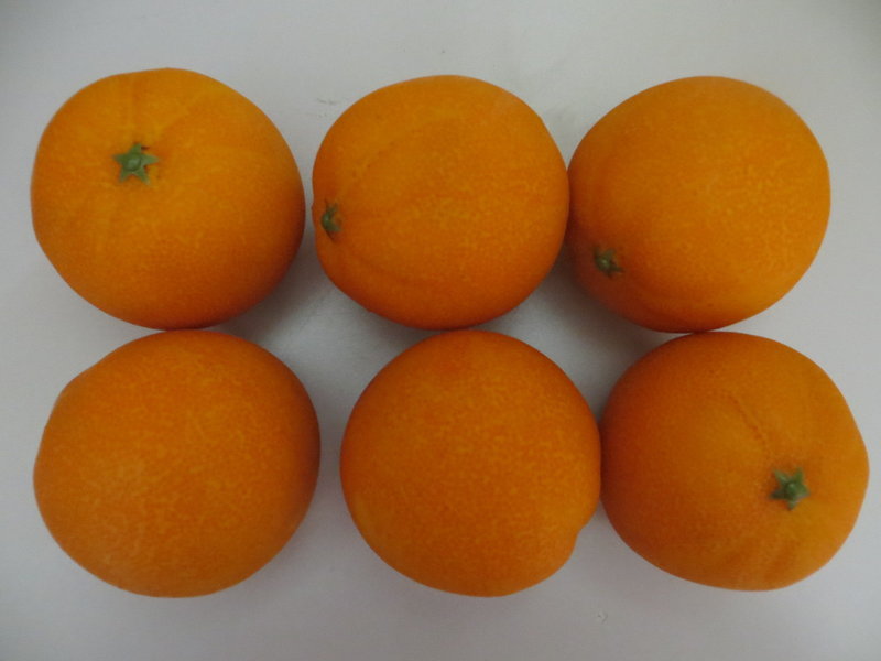 Orange (1Einheit=6Stück)