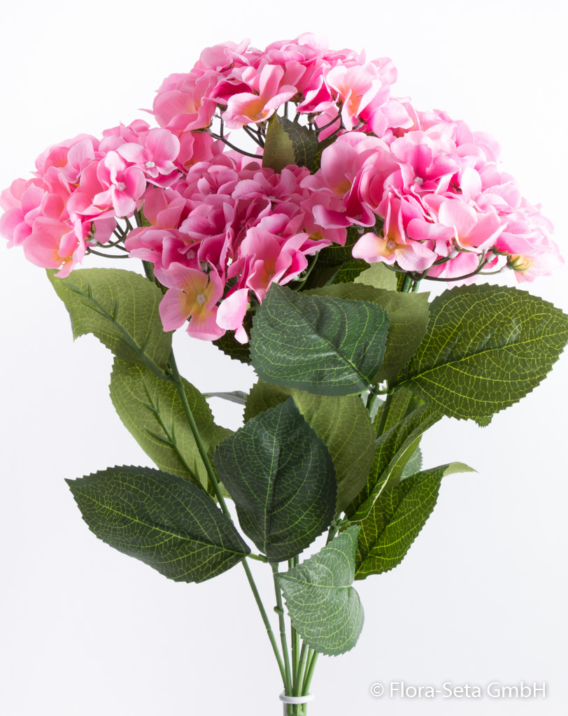 Hortensienbusch mit 7 Blüten Farbe: pink