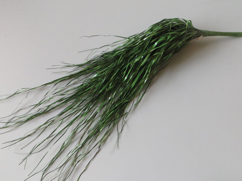 Grasbusch hängend Farbe:grün