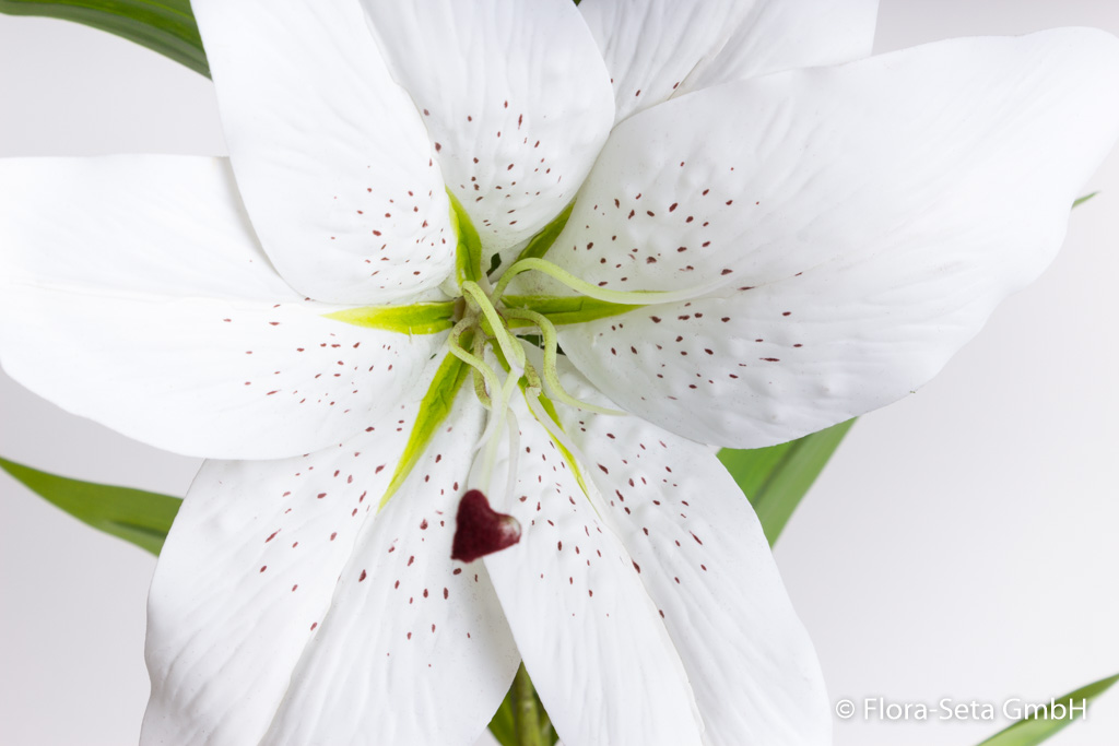 Lilie mit 1 Blüte und 2 Knospen "real touch" Farbe: creme-weiß
