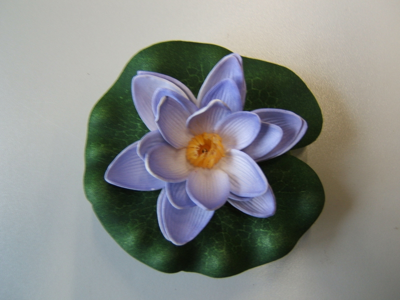 Seerose (Lotus) auf Blatt Farbe:lavendel