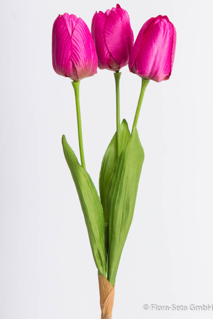 Tulpenbund mit 3 Tulpen und 3 Blättern Farbe: beauty