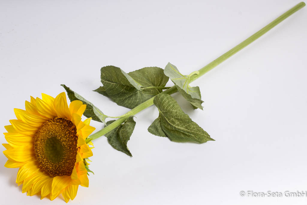 Sonnenblume Gigant mit 6 Blättern Farbe: gelb