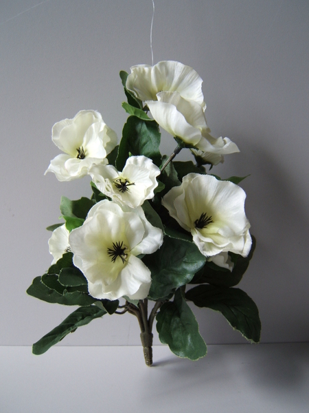 Stiefmütterchenbusch (Pansy) groß mit 9 Blüten Farbe: creme-weiß mit hellgelber Mitte