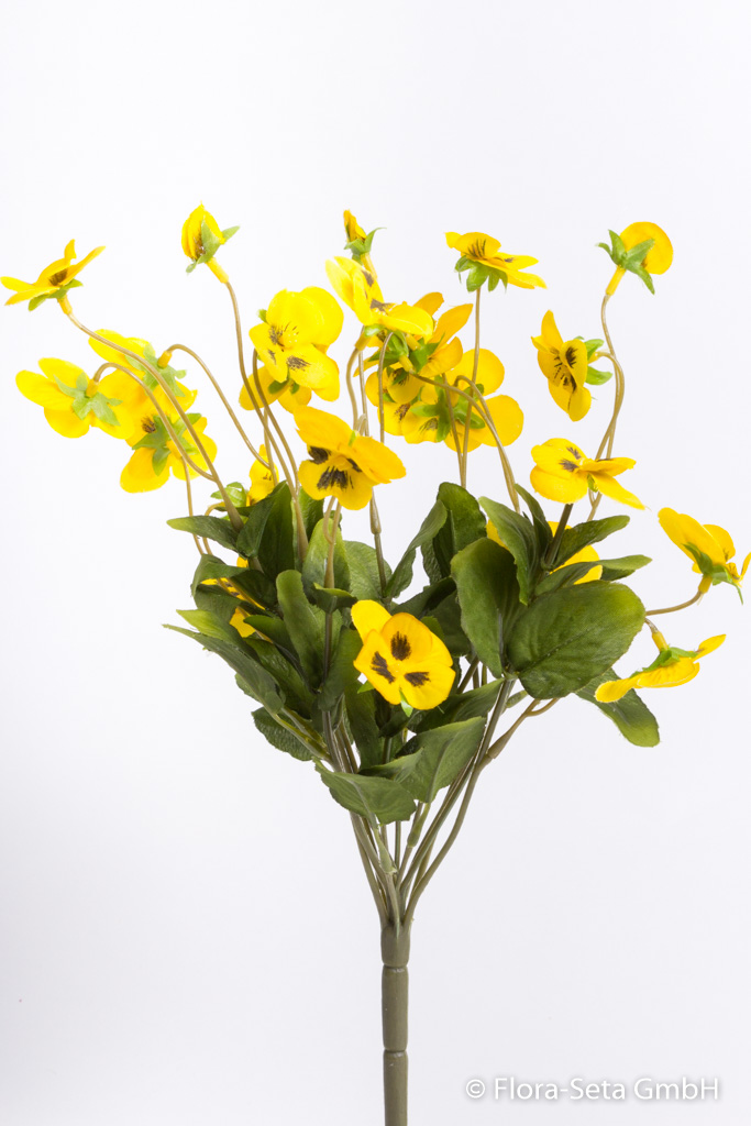 Hornveilchenbusch (Stiefmütterchen) mit 12 Stielen Farbe: gelb