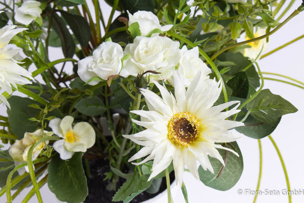 Blumenbouquet im weißen Kunststofftopf Farbe: creme-weiß