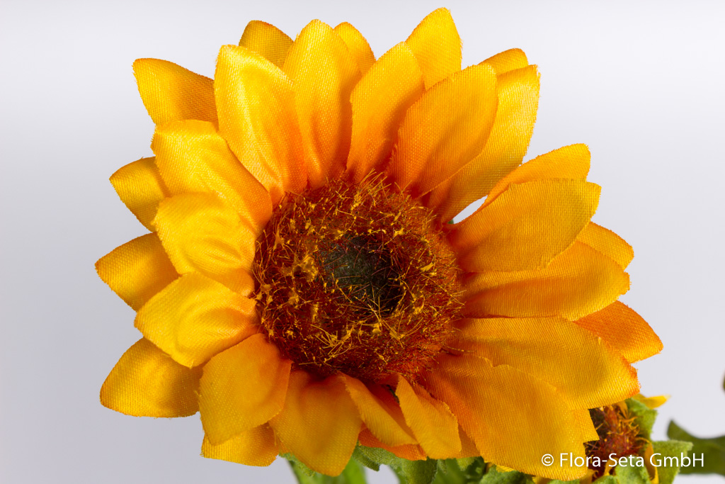 Sonnenblume mit 2 Blüten, 1 Knospe Farbe: gelb-orange