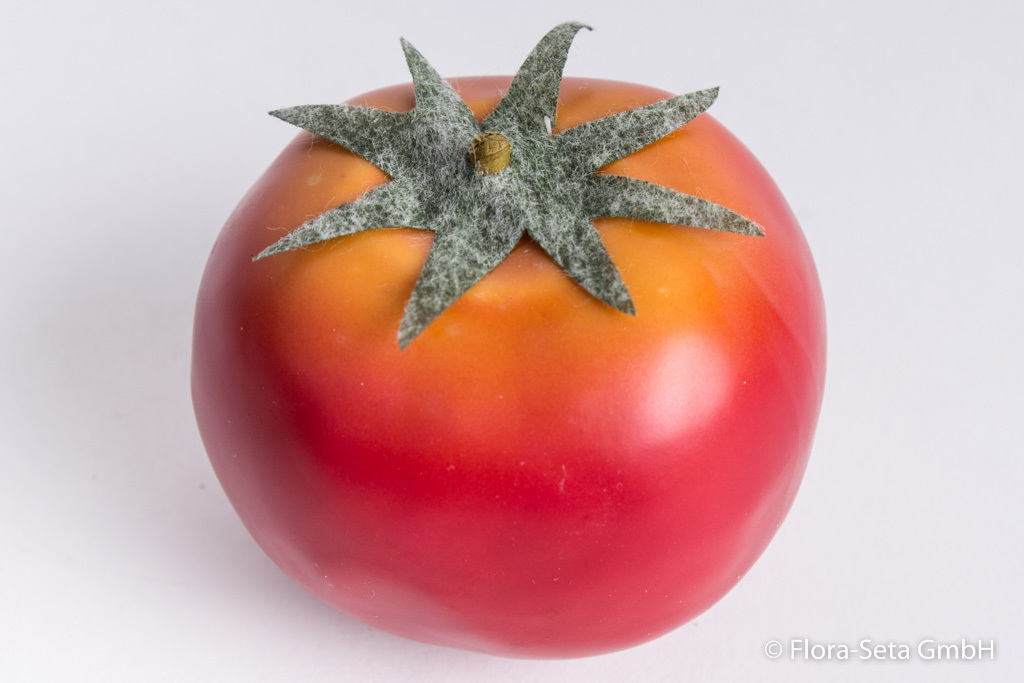 Tomate 6 cm