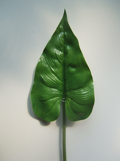 Anthurienblatt Farbe:grün, 62 cm