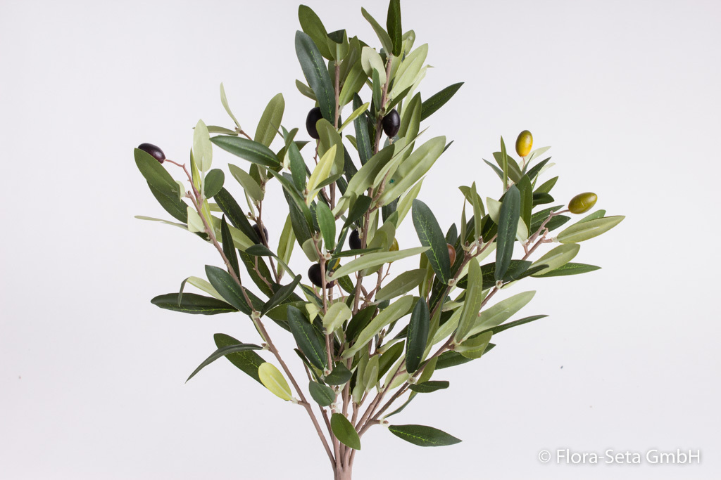Olivenbusch mit 9 Stielen und Oliven