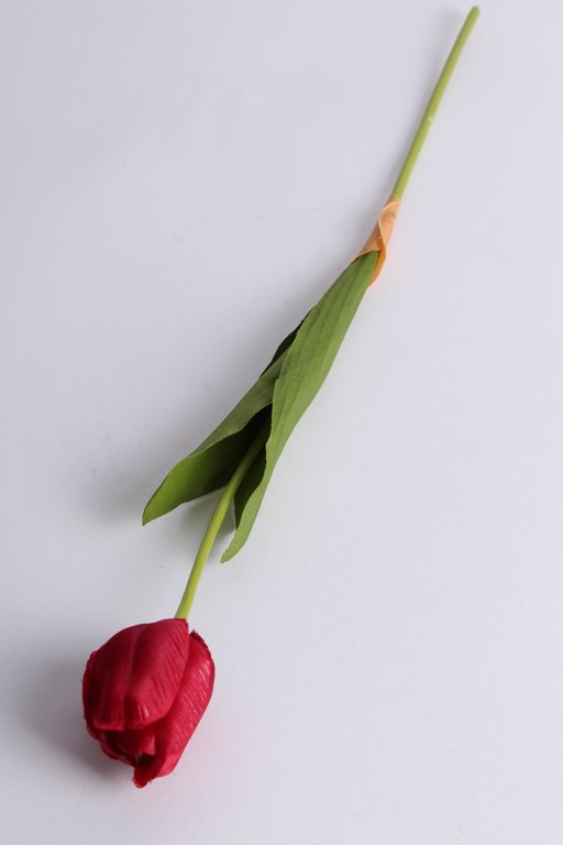 Tulpe mit 2 Blättern Farbe: rot