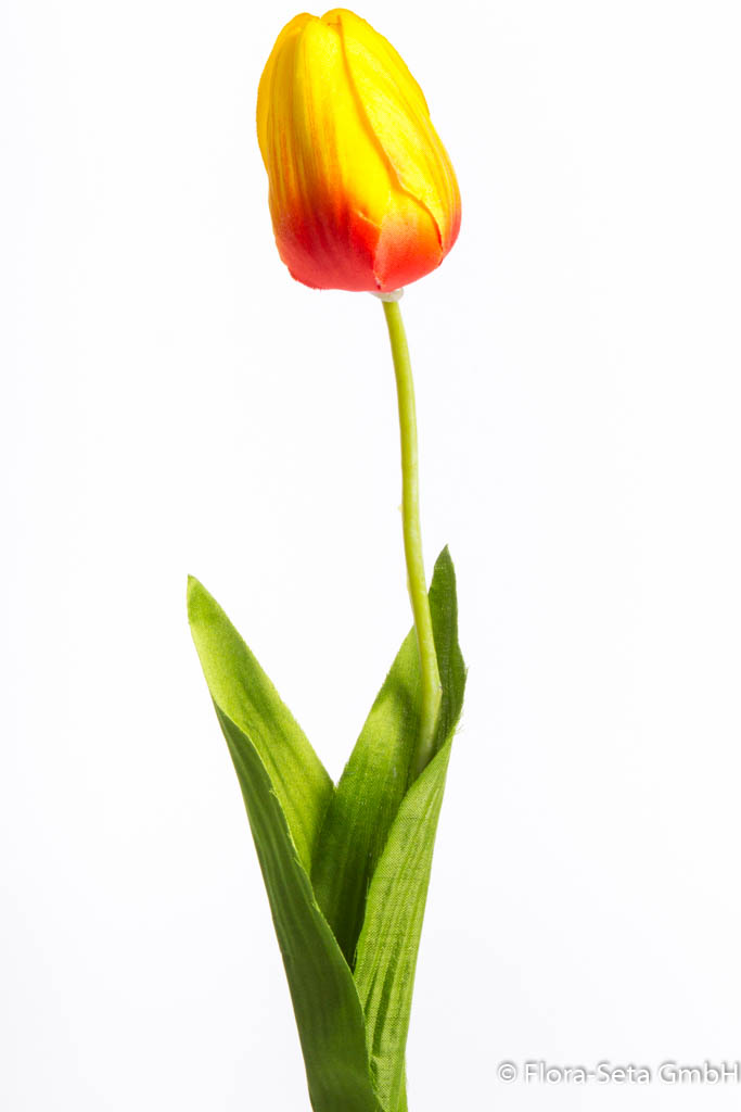 Tulpe mit 2 Blättern Farbe: orange-gelb
