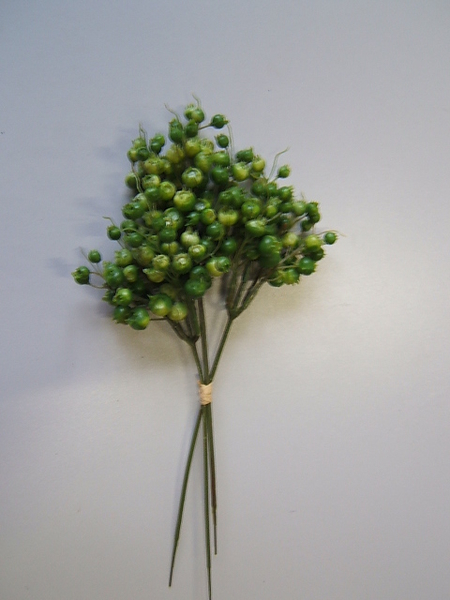 Beerenpick (3Stück im Bund) Farbe:grün