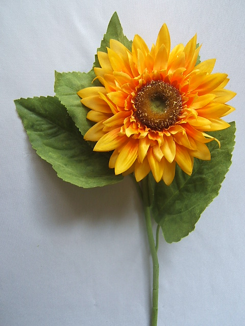 Sonnenblume mit 5 Blättern