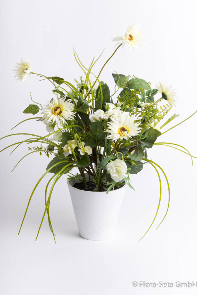 Blumenbouquet im weißen Kunststofftopf Farbe: creme-weiß