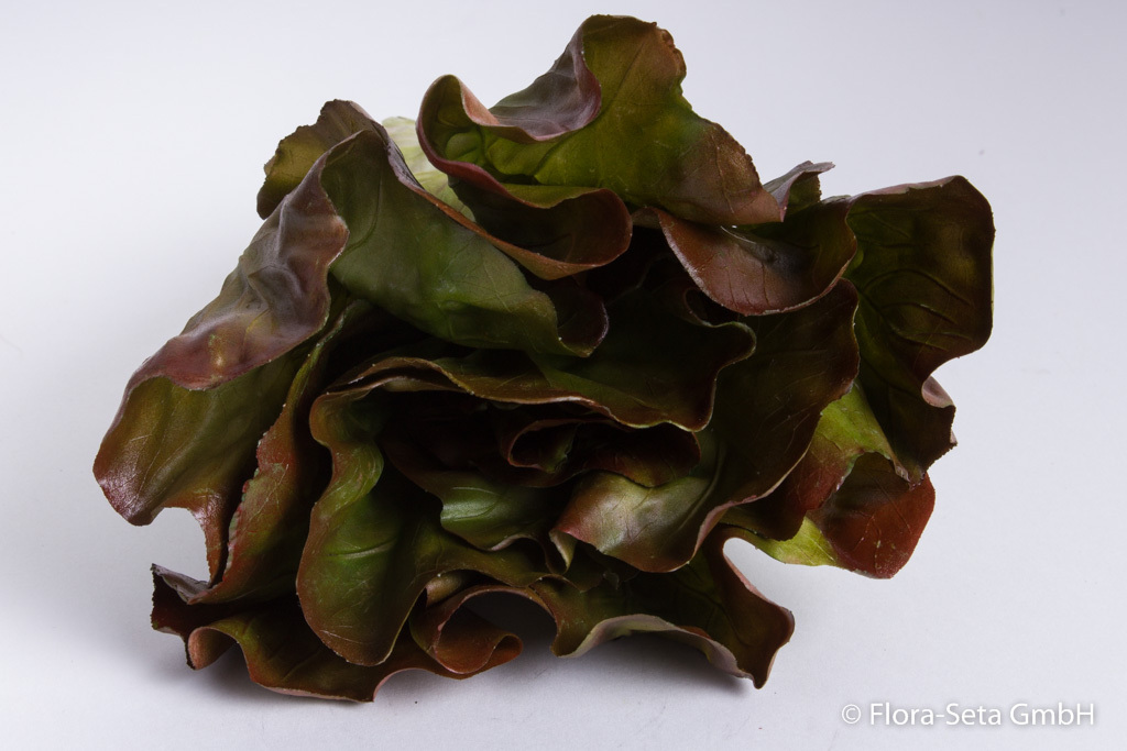 Salat Romana Farbe: grün-rotbraun