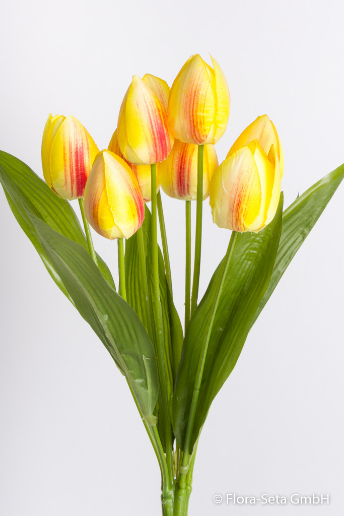 Tulpenbusch mit 9 Tulpen und Blättern Farbe: gelb - leicht pink