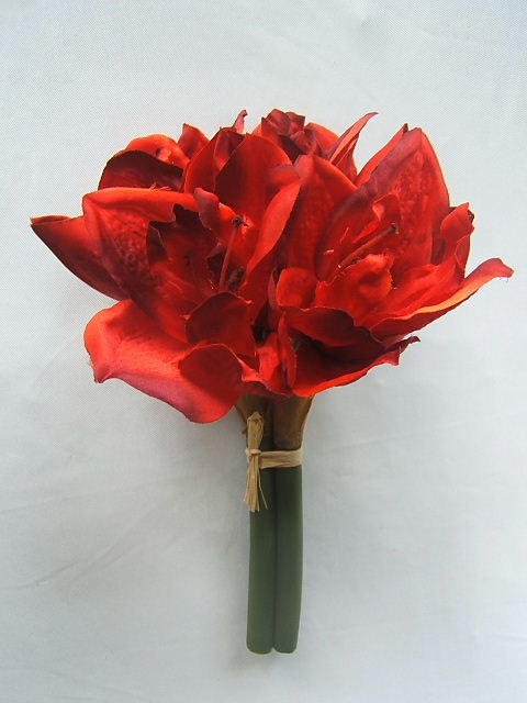 Amaryllis Bund mit 3 Stielen, 4 Blüten und 3 Knospen