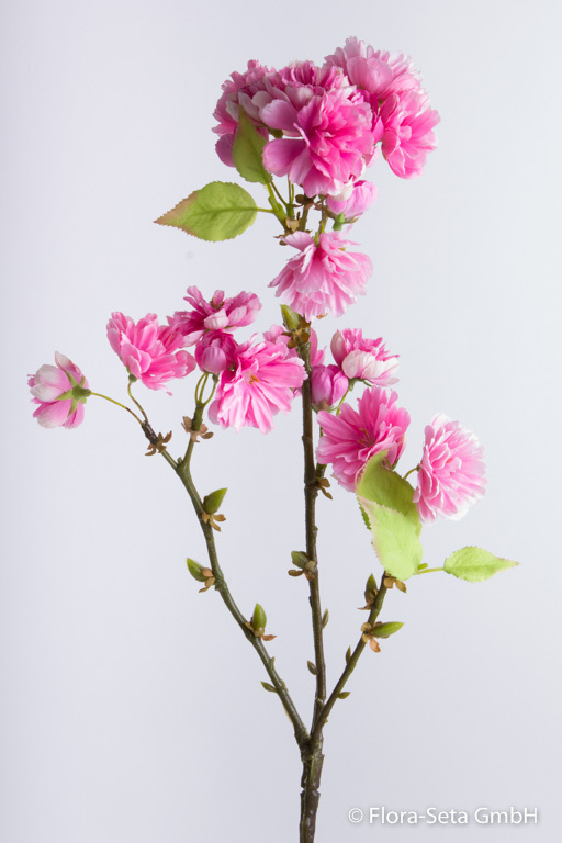 Kirschblütenzweig Farbe: pink, leicht creme