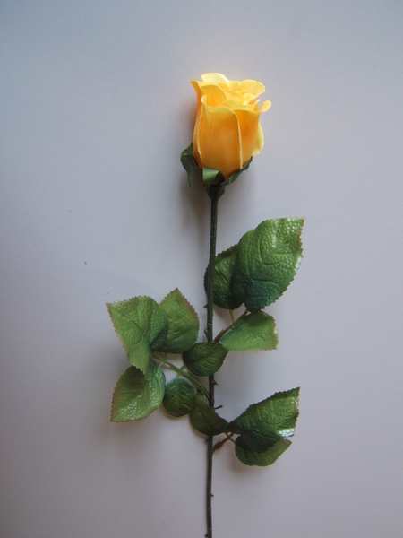 Rose Präsent halboffen mit 9 Blättern Farbe:gelb