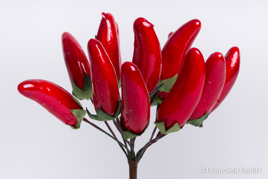 12 Mini-Chilli am Bund Farbe: rot