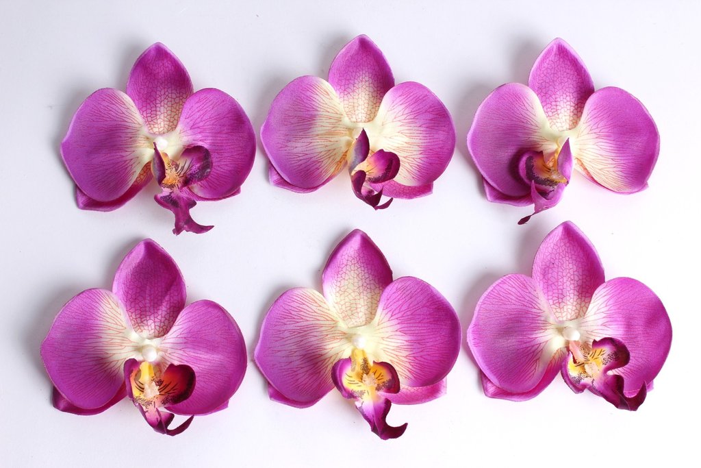 6 Orchideenblüten in Klarsichtbeutel Farbe:beauty