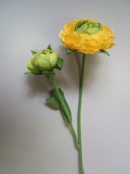 Ranunkel mit 2 Blüten und 1 Blatt Farbe:gelb-grün