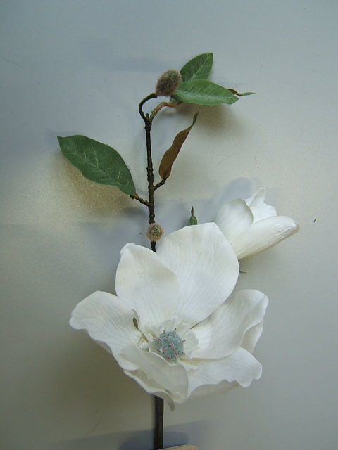 Magnolienpick mit 1 Knospe und 1 Blüte Farbe:weiß