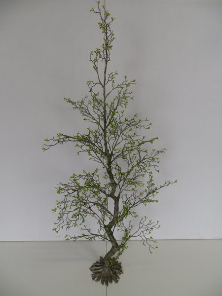 Teeblattbaum mit kleinen Blättchen auf Kunststofffuß (1 Einheit = 2 Stück)