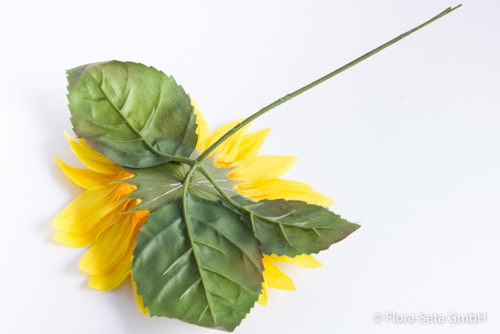 Sonnenblume kurzstielig mit 3 Blättern