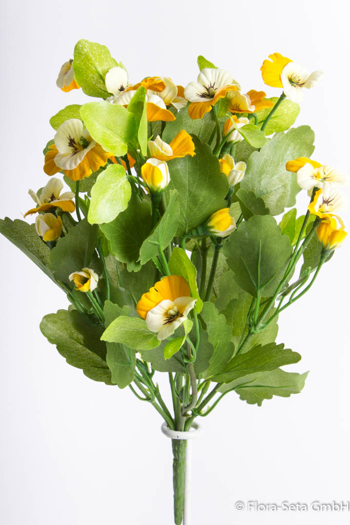 Stiefmütterchenbusch (Hornveilchen) mit 9 Stielen Farbe: creme-gelb