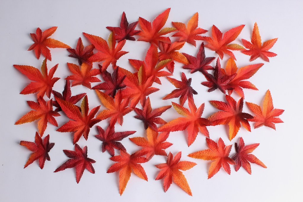 Ahornblätter in Klarsichtpackung Farbe: orange-rot-braun