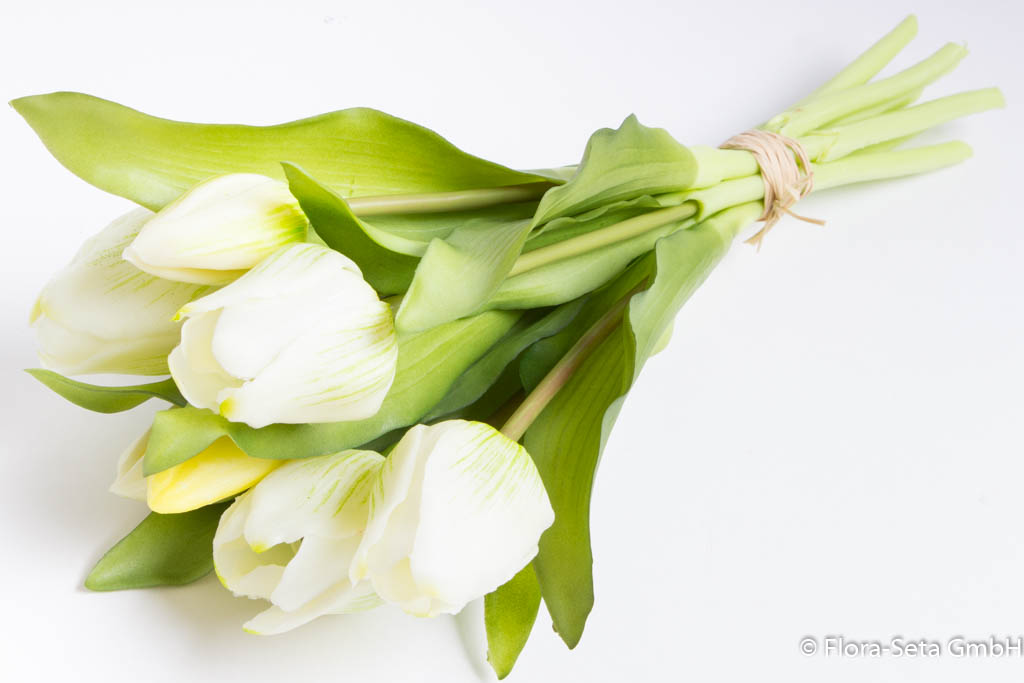 Tulpenbündel Sandy mit 4 Tulpen und 3 Tulpenknospen Farbe: creme-weiß