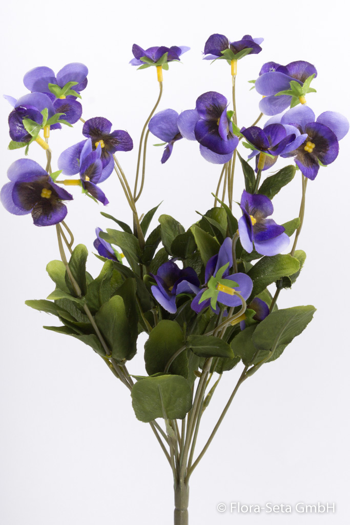 Hornveilchenbusch (Stiefmütterchen) mit 12 Stielen Farbe: lila