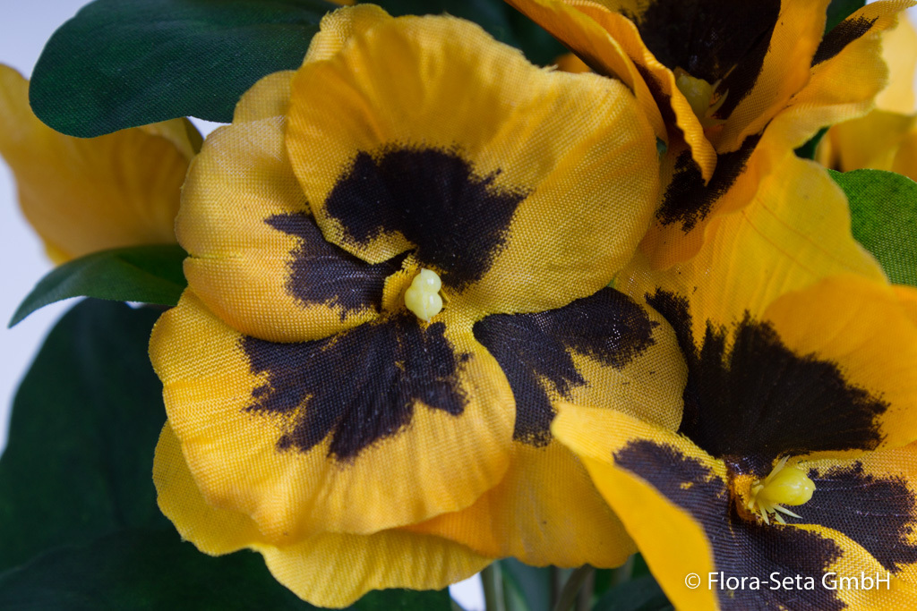 Stiefmütterchenbusch mit 9 Blüten Farbe: gelb