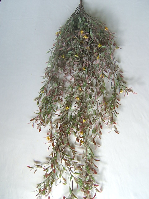 Tradescantia Hängebusch mit 15 Stielen und kleinen, gelben Blüten