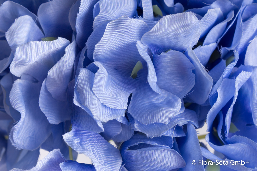 Hortensie mit 2 Blättern Farbe: hellblau-blau