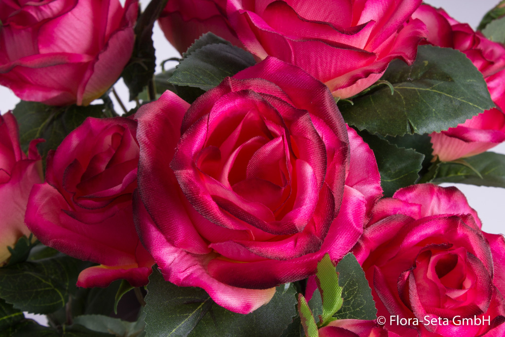 Rosenbusch mit 9 Rosen und 5 Knospen im braunen Kunststofftopf Farbe: beauty