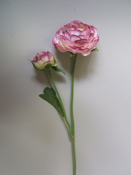 Ranunkel mit 2 Blüten und 1 Blatt Farbe:mauve