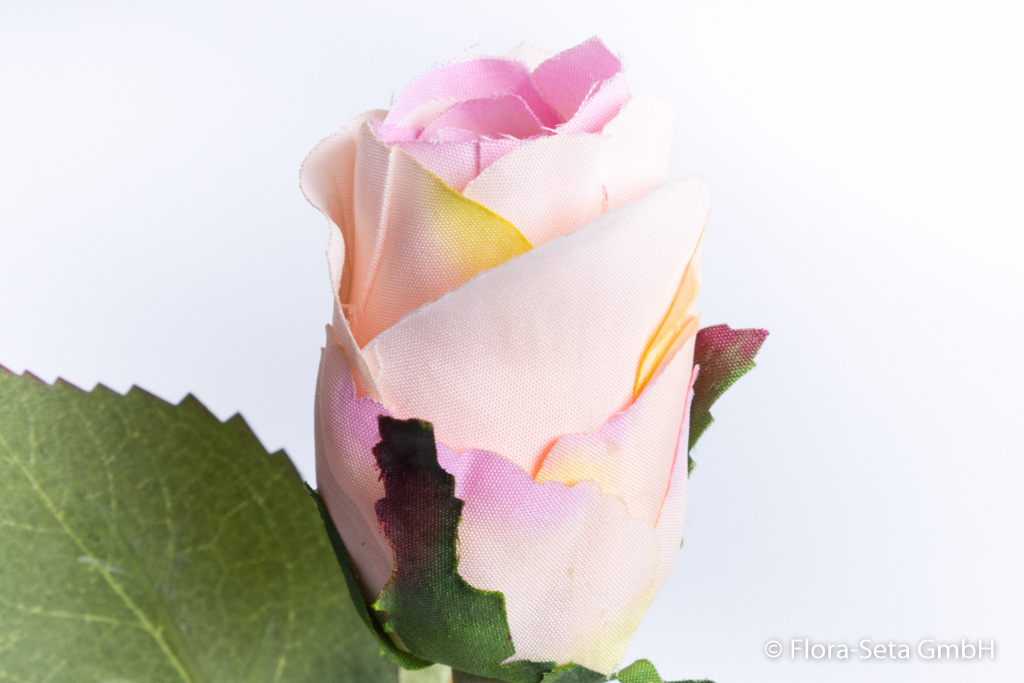 Rose halboffen Farbe: hellrosa