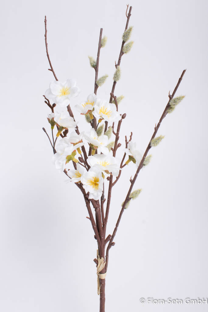 Pfirsichblüten-Weidenkätzchen-Bund, Farbe: creme-weiß
