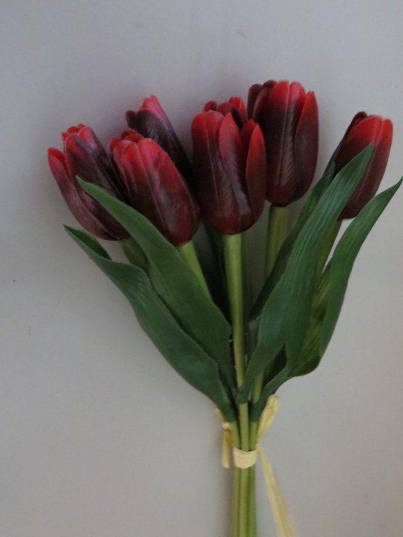Tulpenbündel mit 7 Stielen Farbe: dunkelrot mit roten Spitzen