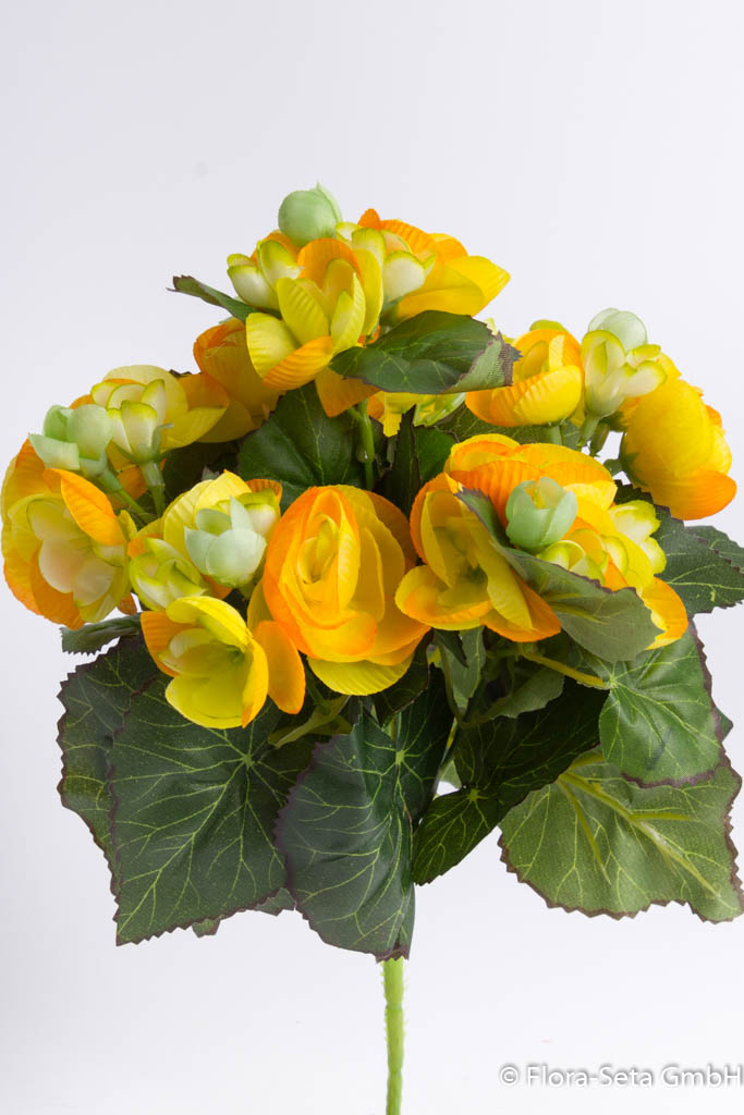 Begonienbusch mit 7 Stielen Farbe: gelb-orange-hellgrün