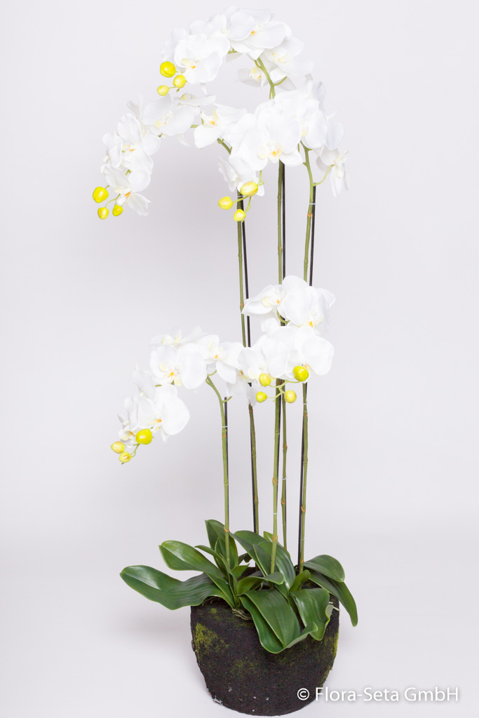 Orchidee auf künstlichem Erdballen mit 5 Rispen, Höhe ca. 125 cm Farbe: creme-weiß