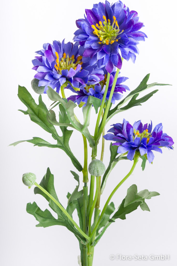 Kornblume mit 4 Blüten und Blättern Farbe: blau-lila
