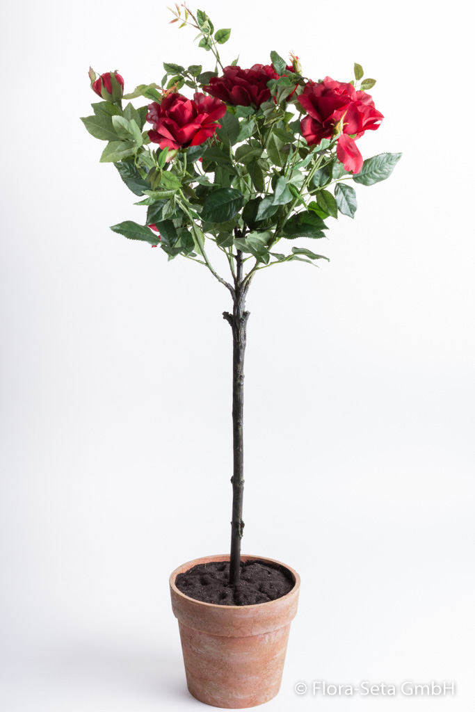 Rosenkugelbaum im terrakottafarbenen Kunststofftopf Farbe: rot
