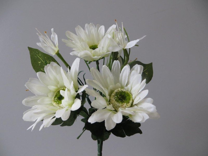 Gerberabouquet mit 4 kleinen u. 3 größeren Blüten Farbe:creme-weiß