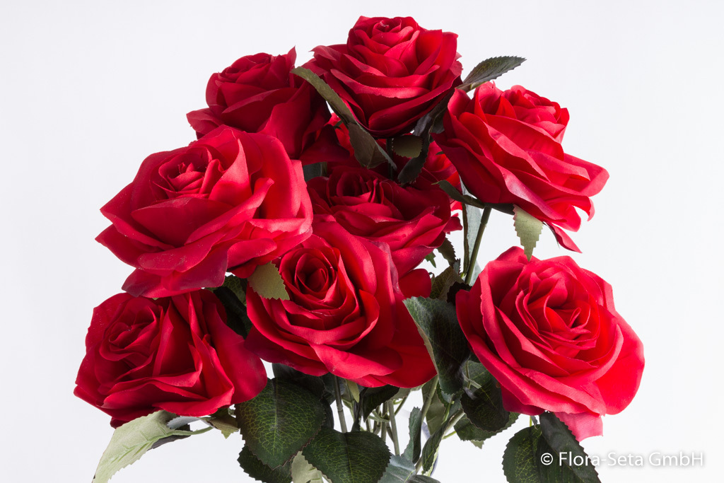 Rosenbusch Dijon mit 10 Rosen Farbe: rot